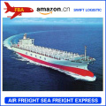 FBA Amazon sea freight forwarder from Shenzhen to Mexico with DDP service